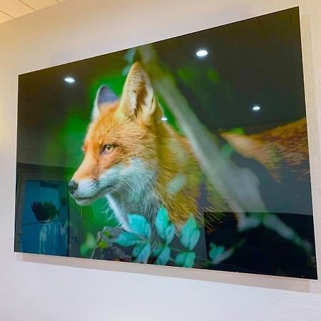 Le Terrier Du Katz Apartment Dabo ภายนอก รูปภาพ