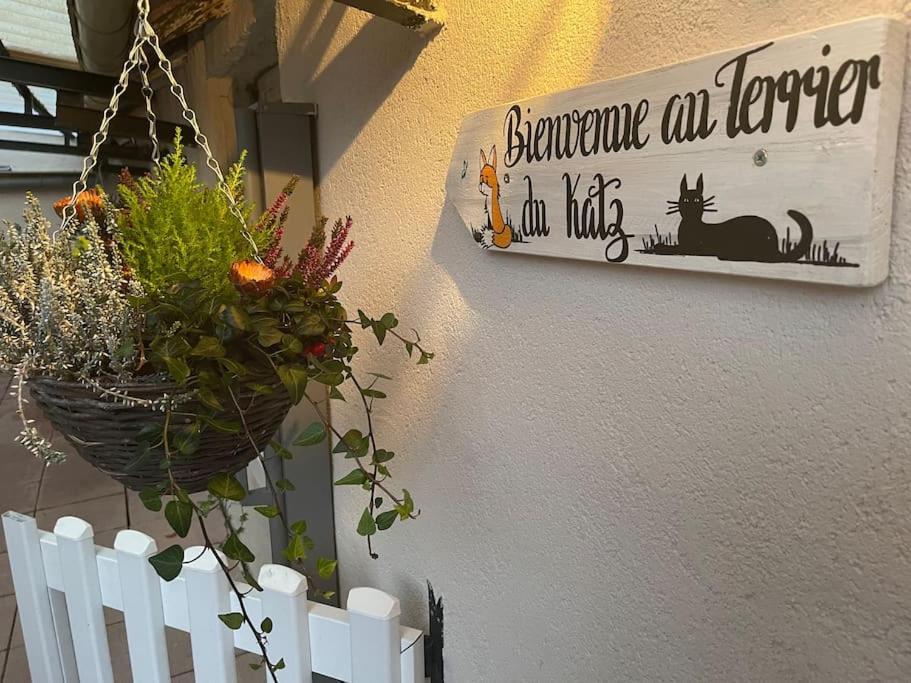 Le Terrier Du Katz Apartment Dabo ภายนอก รูปภาพ