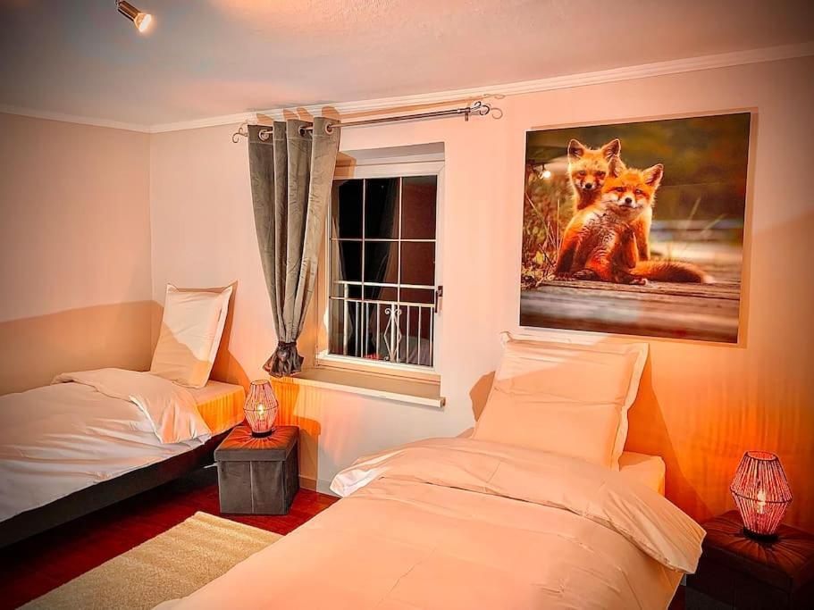 Le Terrier Du Katz Apartment Dabo ภายนอก รูปภาพ