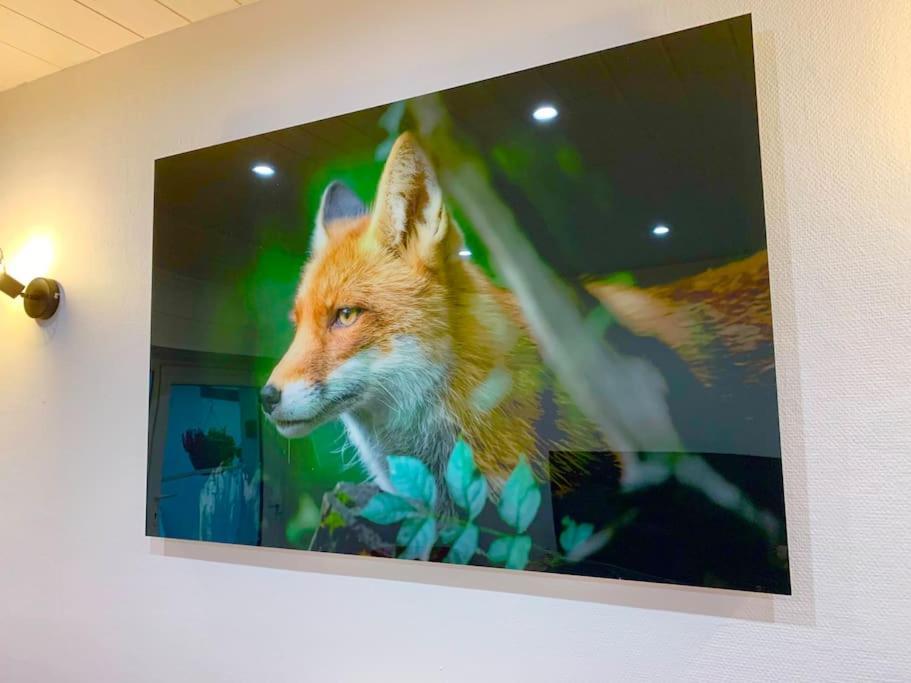 Le Terrier Du Katz Apartment Dabo ภายนอก รูปภาพ