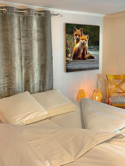 Le Terrier Du Katz Apartment Dabo ภายนอก รูปภาพ